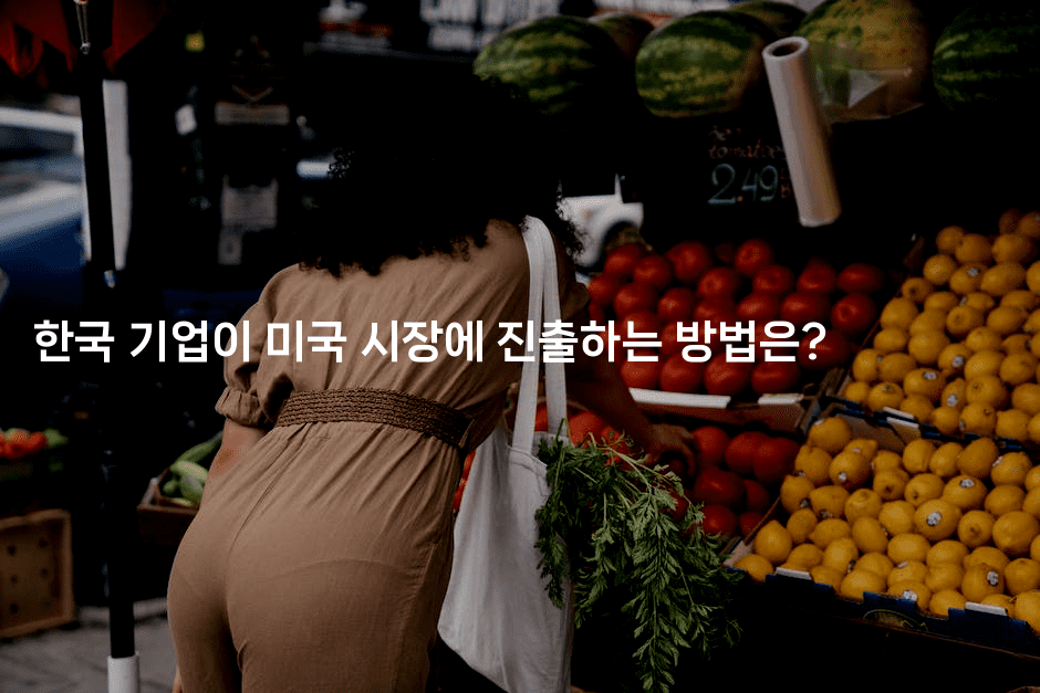 한국 기업이 미국 시장에 진출하는 방법은?
-에코리아