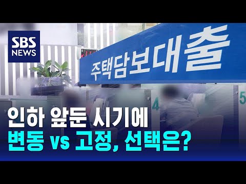 금리 인하 앞두고 '변동 vs 고정', 선택은? / SBS