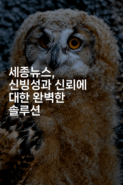 세종뉴스, 신빙성과 신뢰에 대한 완벽한 솔루션-에코리아