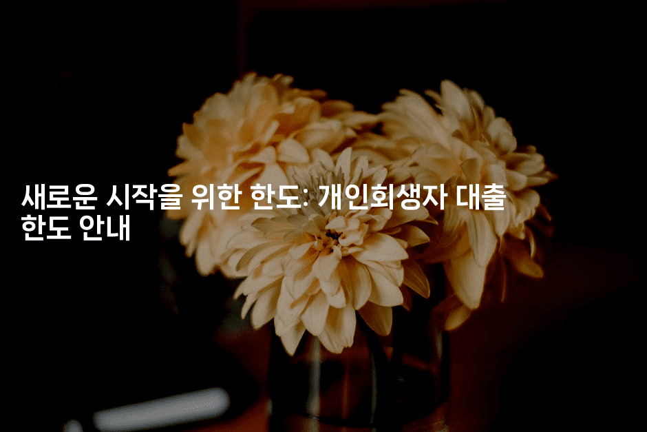 새로운 시작을 위한 한도: 개인회생자 대출 한도 안내-에코리아