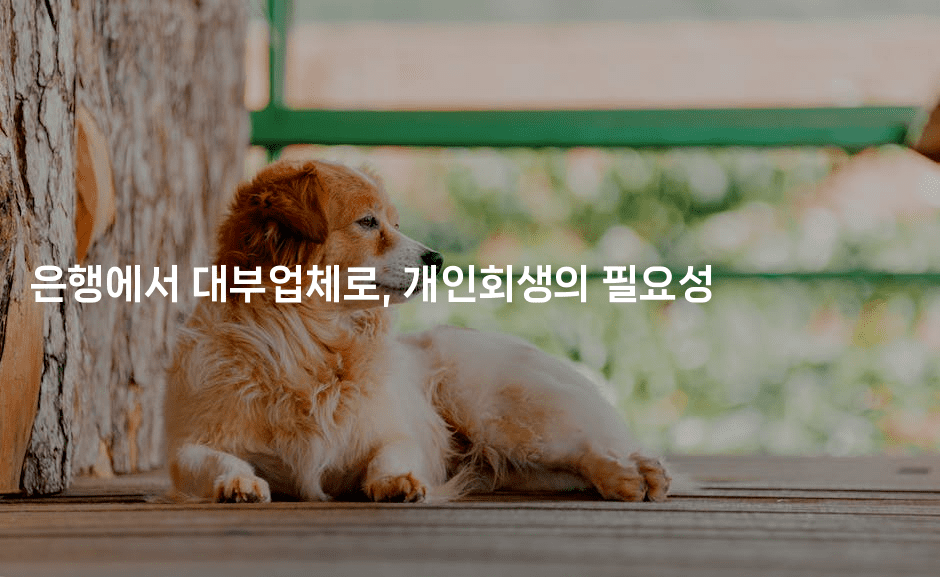 은행에서 대부업체로, 개인회생의 필요성