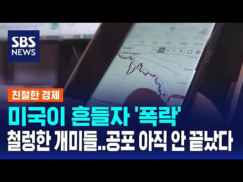 미국이 흔들자 '폭락'…철렁한 개미들, 공포 아직 안 끝났다 / SBS / 친절한 경제