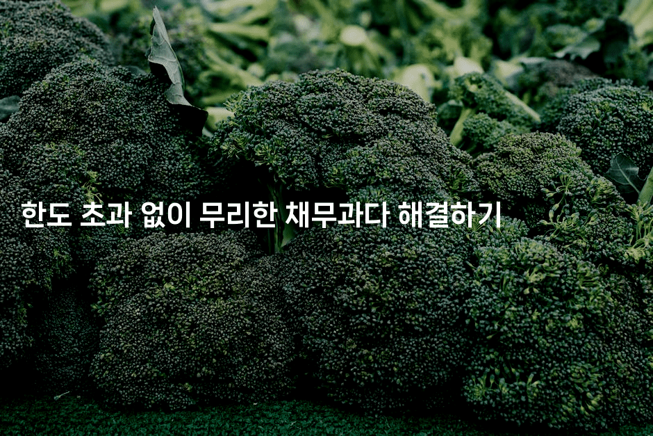 한도 초과 없이 무리한 채무과다 해결하기-에코리아