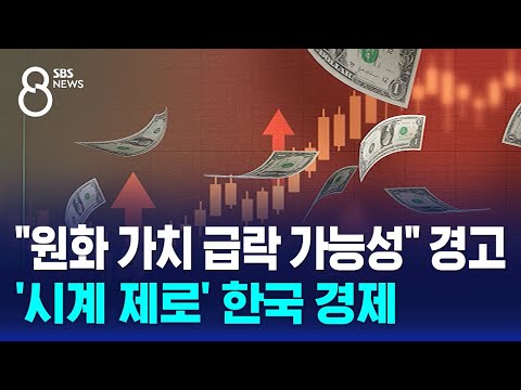 "원화 가치 급락 가능성" 경고…'시계 제로' 한국 경제 / SBS 특집 8뉴스