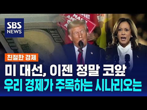 미 대선 정말 코앞…한국 경제 관심 집중되는 시나리오는? / SBS / 친절한 경제