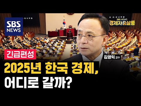 탄핵 정국, 투자와 소비 어디로 움직일까?.. 해외에서도 부정적인 내년 한국 경제, 돌파구 없다? / 김영익 교수