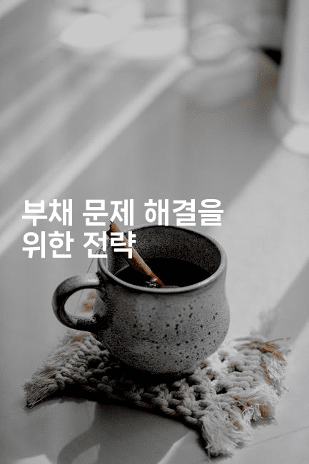 부채 문제 해결을 위한 전략-에코리아