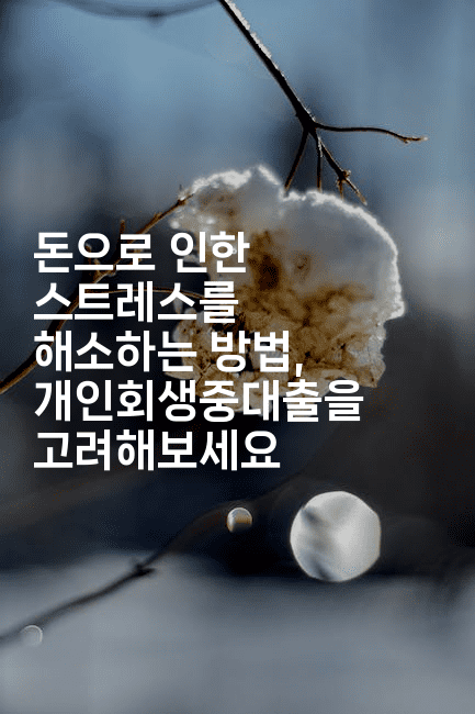 돈으로 인한 스트레스를 해소하는 방법, 개인회생중대출을 고려해보세요