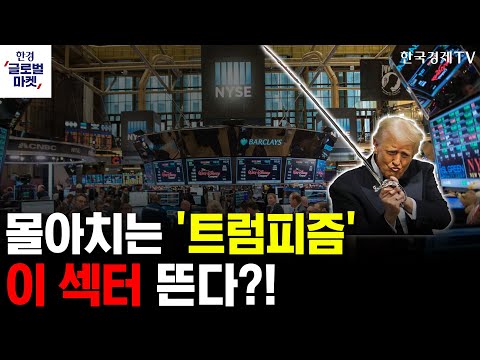 [한경글로벌마켓] 트럼프 2.0 개막 변동성장세 속 눈여겨봐야 할 섹터는? (IT,금융 편)