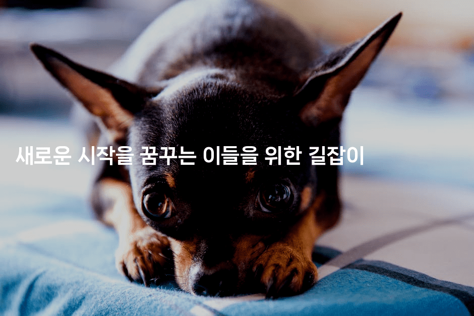 새로운 시작을 꿈꾸는 이들을 위한 길잡이-에코리아