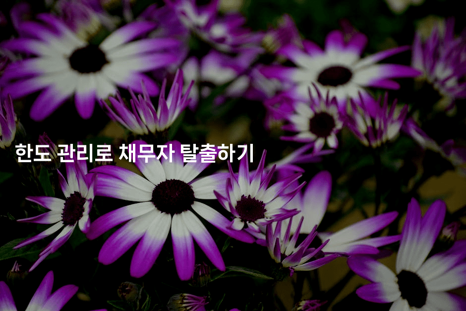 한도 관리로 채무자 탈출하기-에코리아